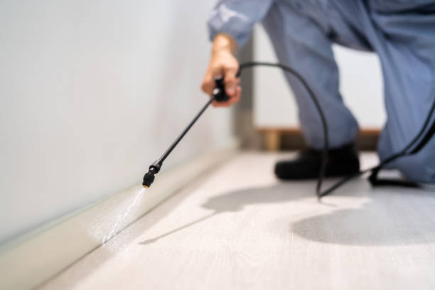 Licensed Cockroach Control service in Norris City, IL - Nex Pest Control