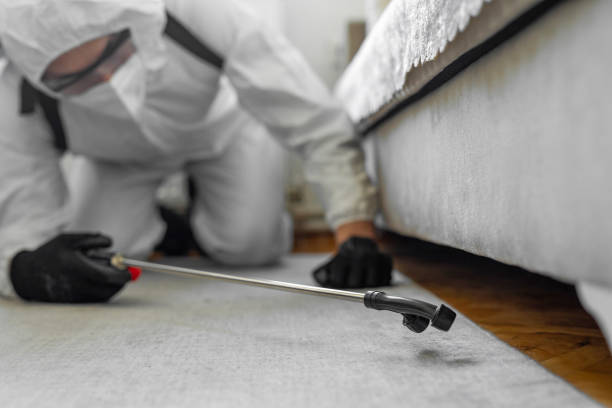 Professional Cockroach Control technician working in Norris City, IL