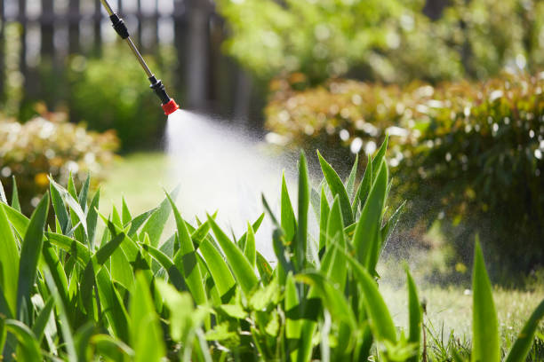 24/7 Emergency Cockroach Control experts in Norris City, IL