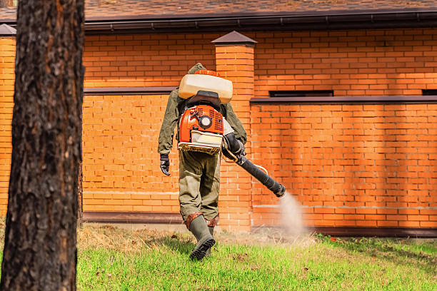 Trusted Termite Control service in Norris City, IL - Nex Pest Control